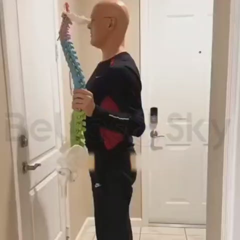 PosturaFlex Pro